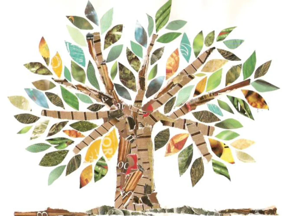 Healthy Bodies, Healthy Minds Kick-off Meeting