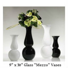 Black and White Mezzo vases text.jpg