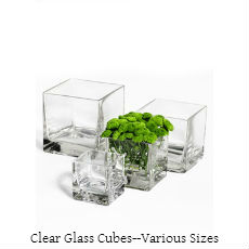 glass cubes 2 text.jpg