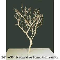 Manzanita branch text.jpg