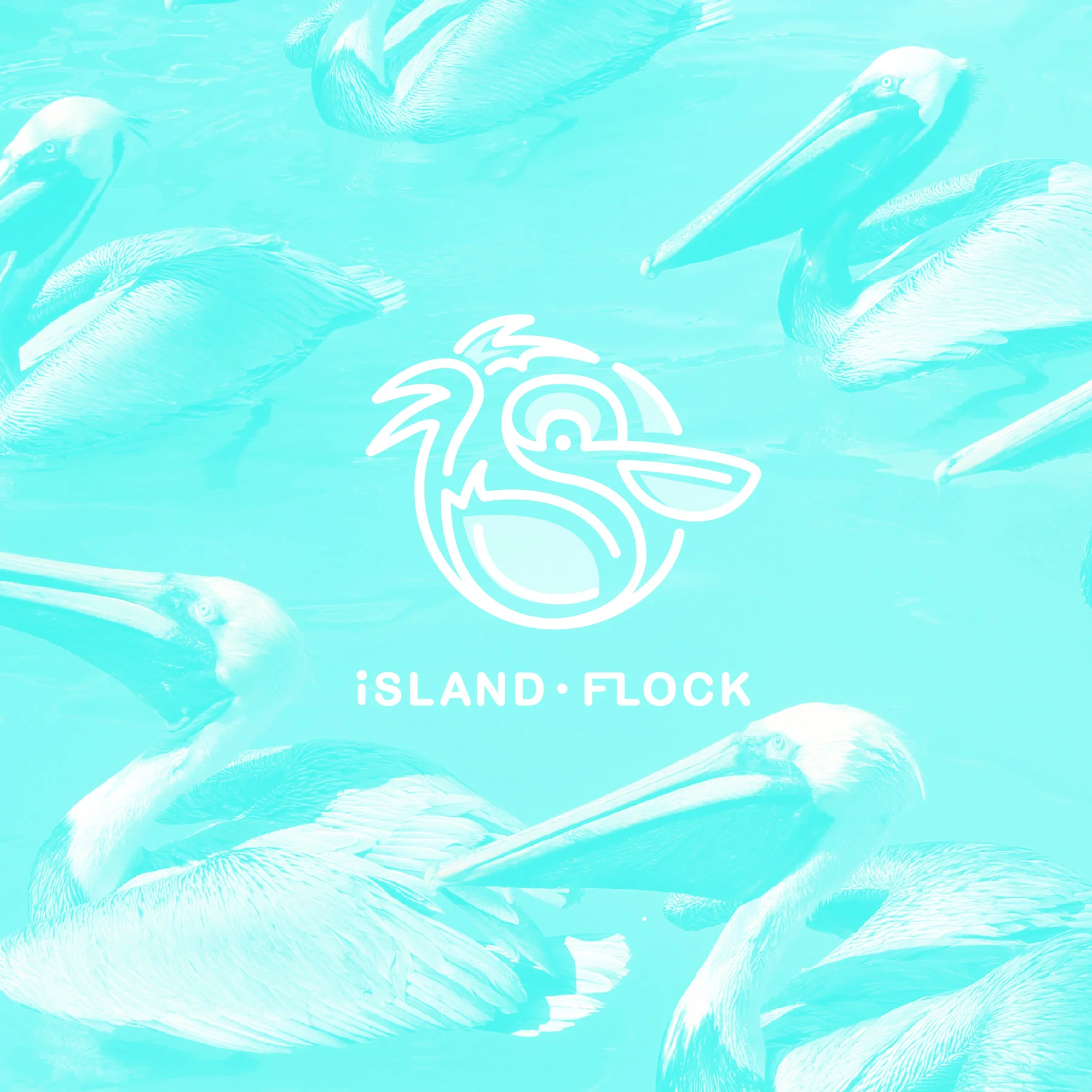 island flock | identity