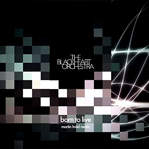 martin hviidborn to live remix.jpg