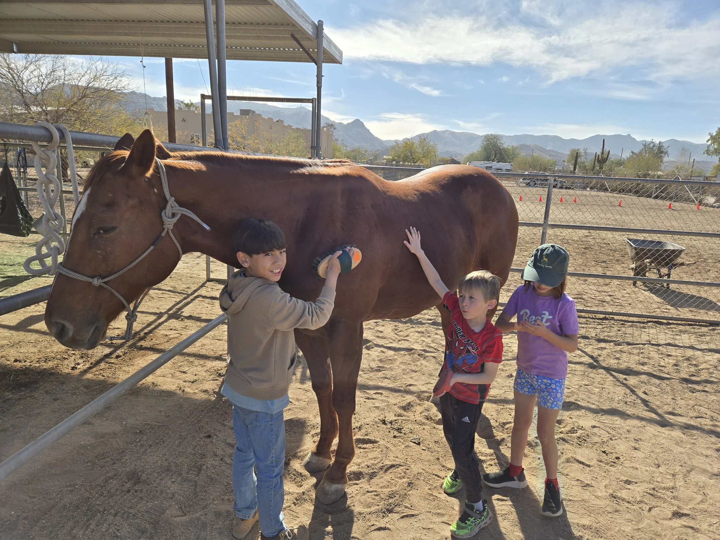 2024 winter camp grand grooming.jpg