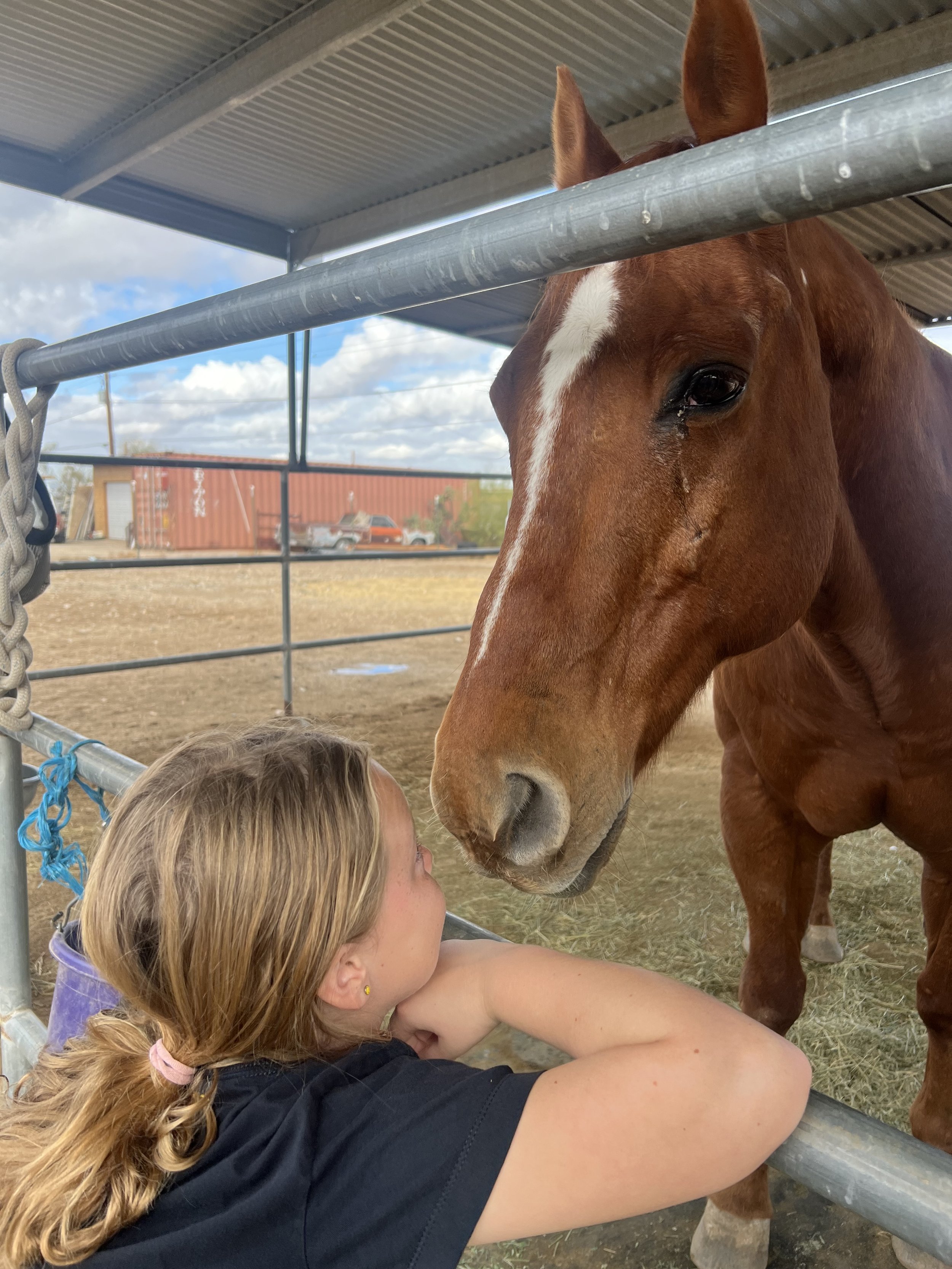 2025 spring camp gazing at grand.jpeg