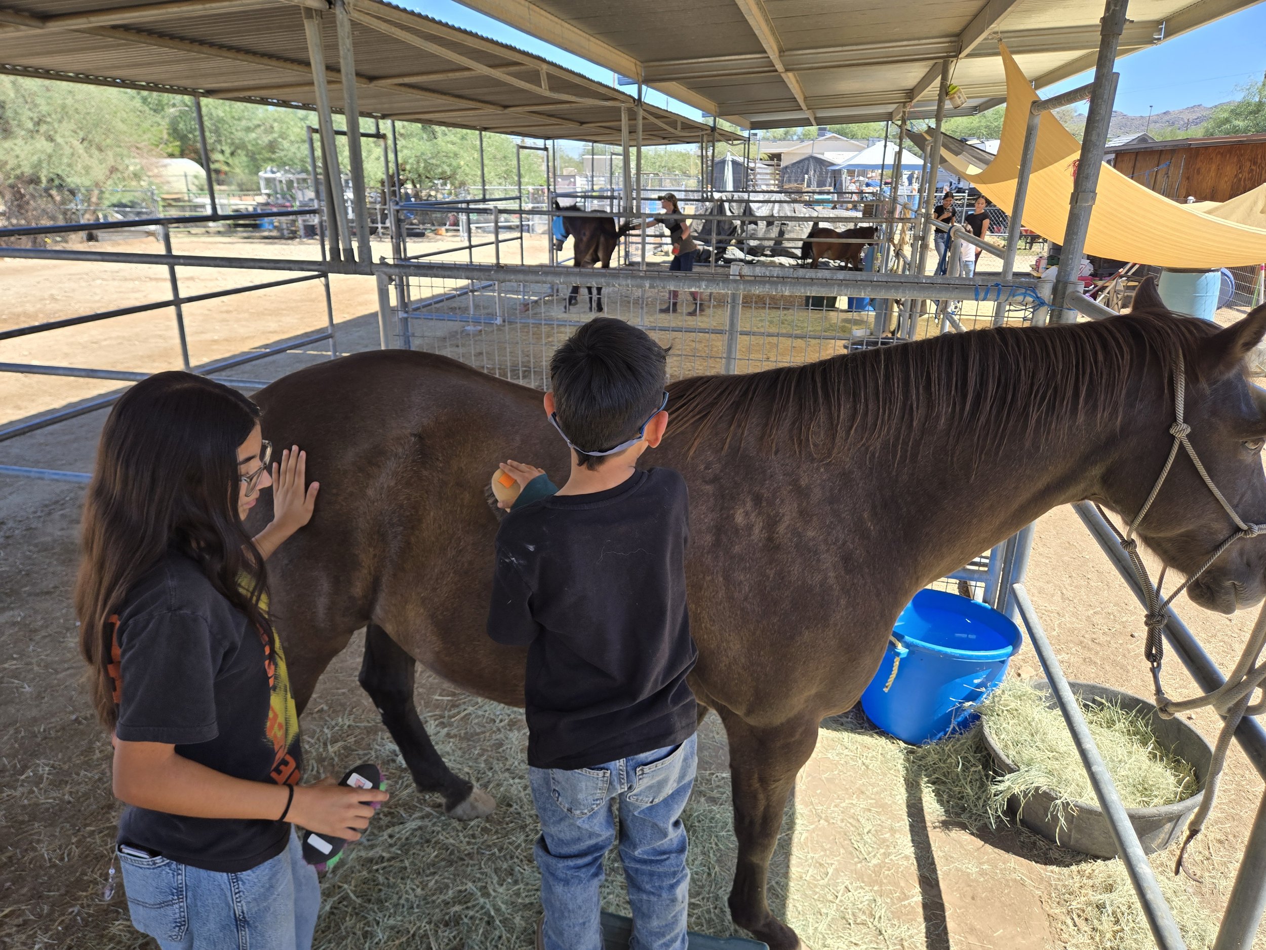 Two EmpoweRanch campers grooming a horse during a hands-on fall camp horsemanship activity