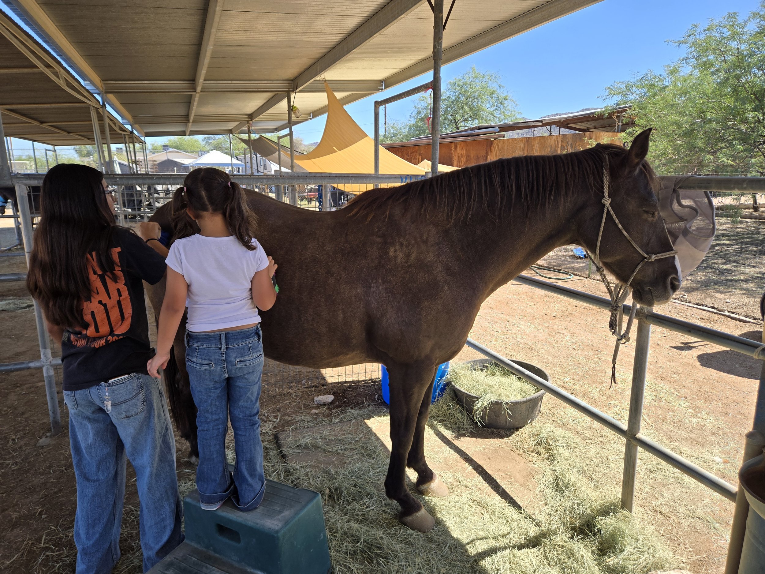 2025 fall camp dancer brush.jpg