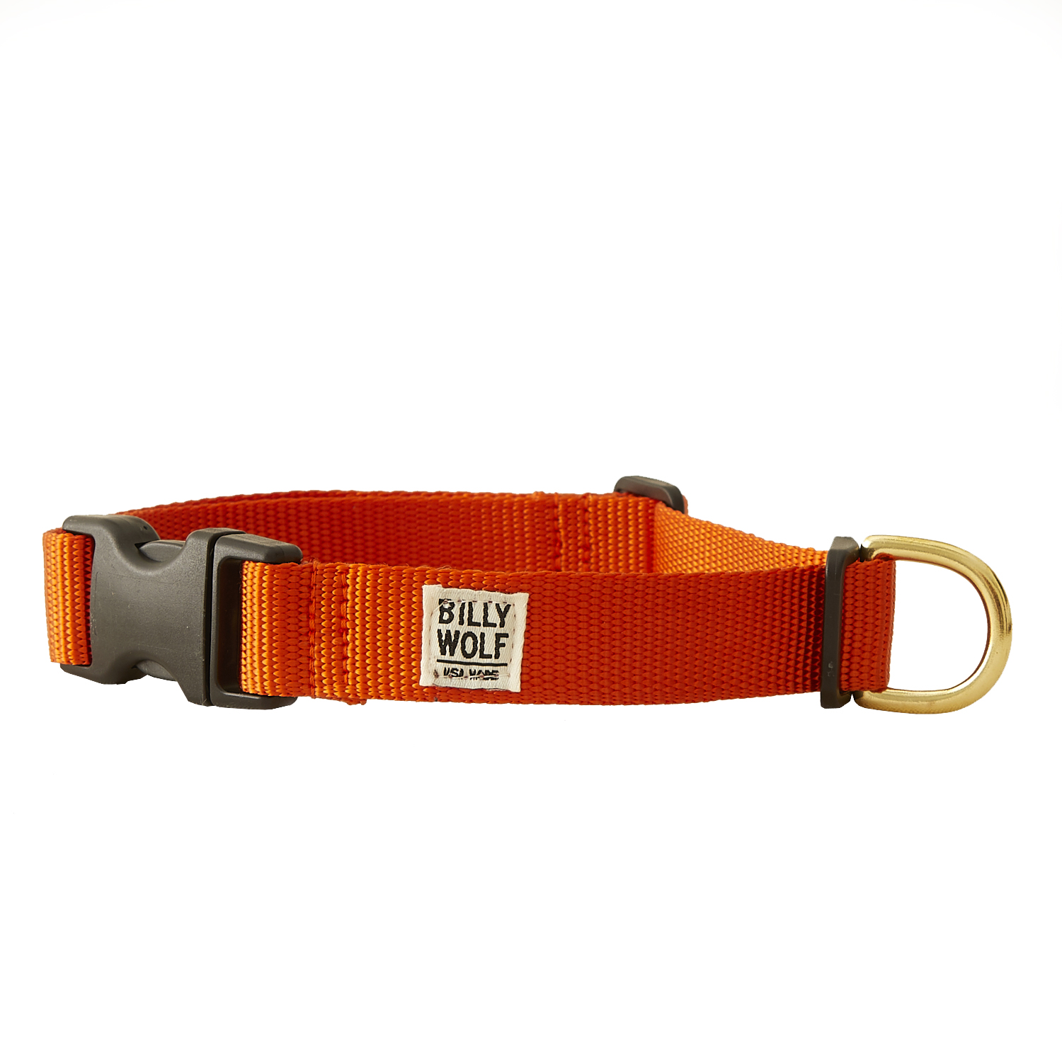 Orange Collar.jpg