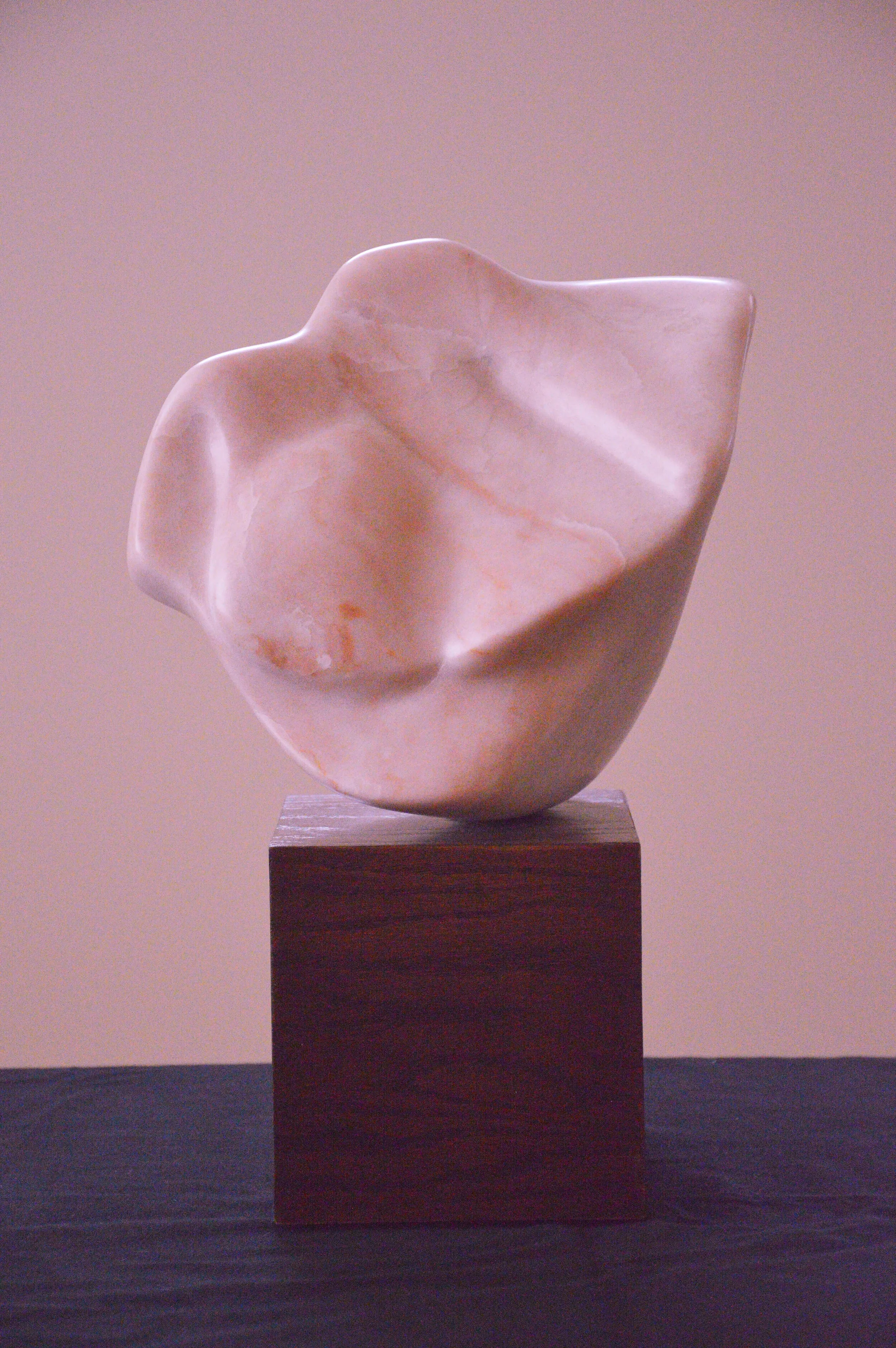Carol Farber-Carrington 2.jpg