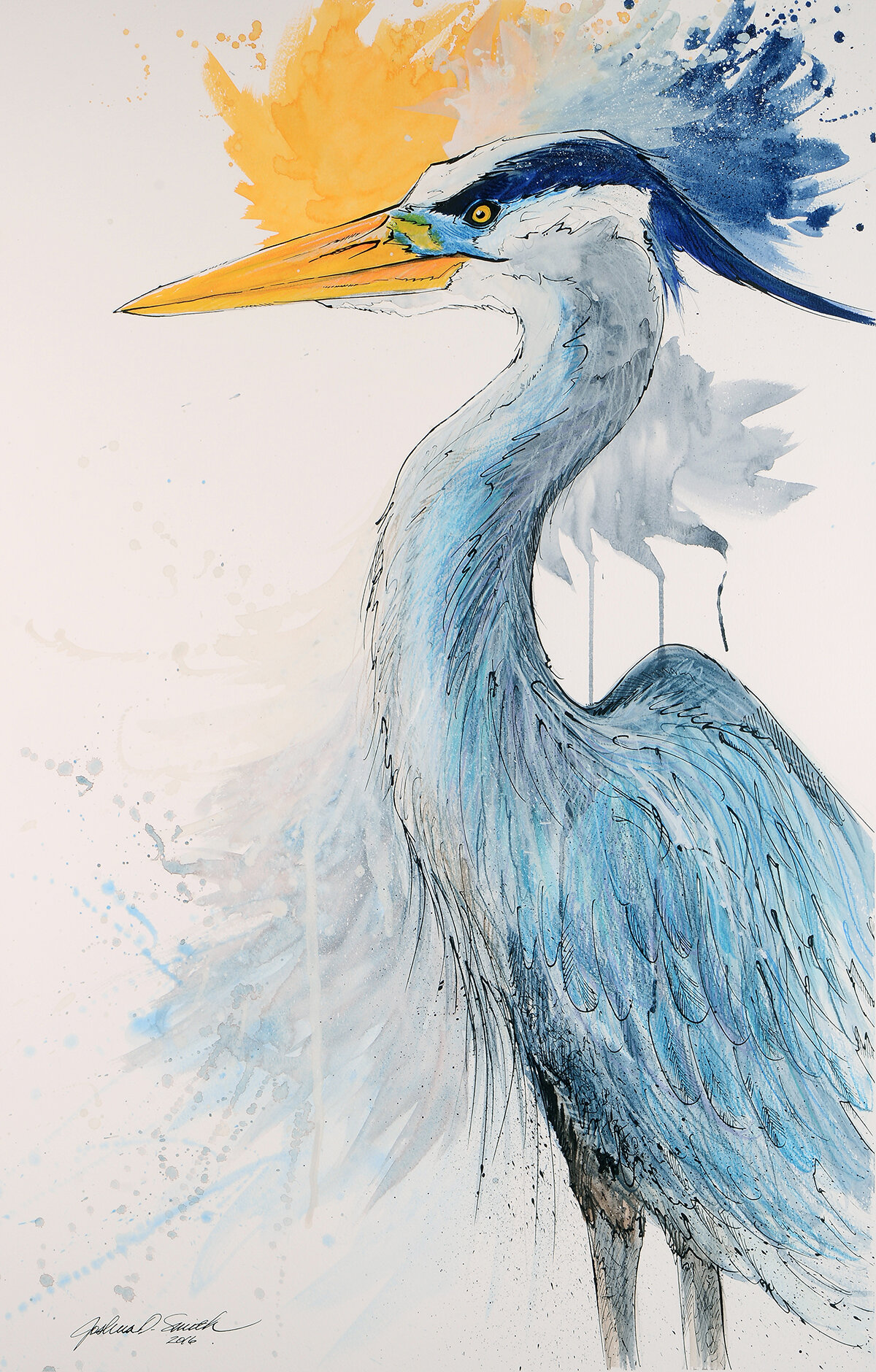 jds_greatblueheron_2.jpg