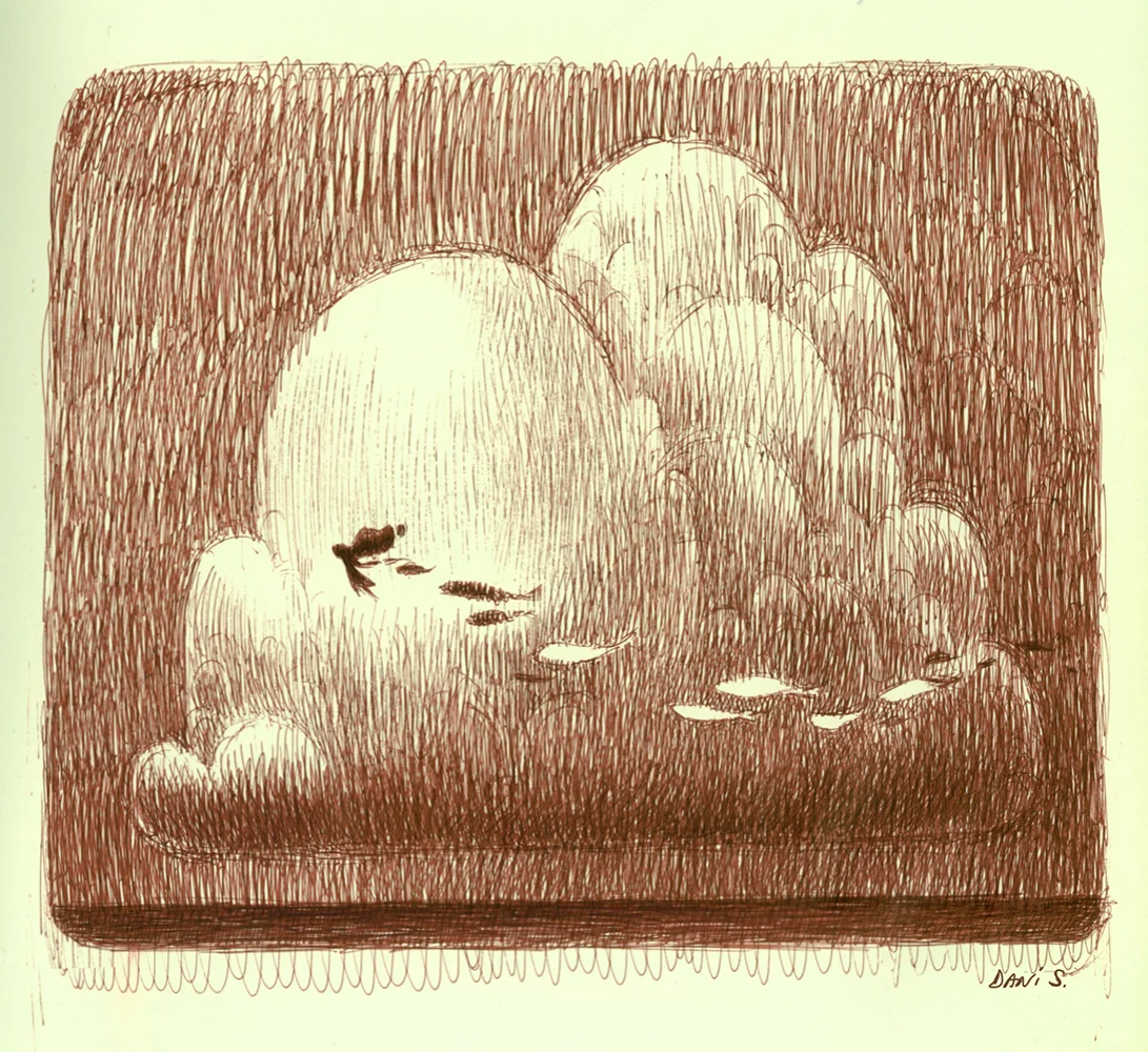 DS_CloudCountry.jpg