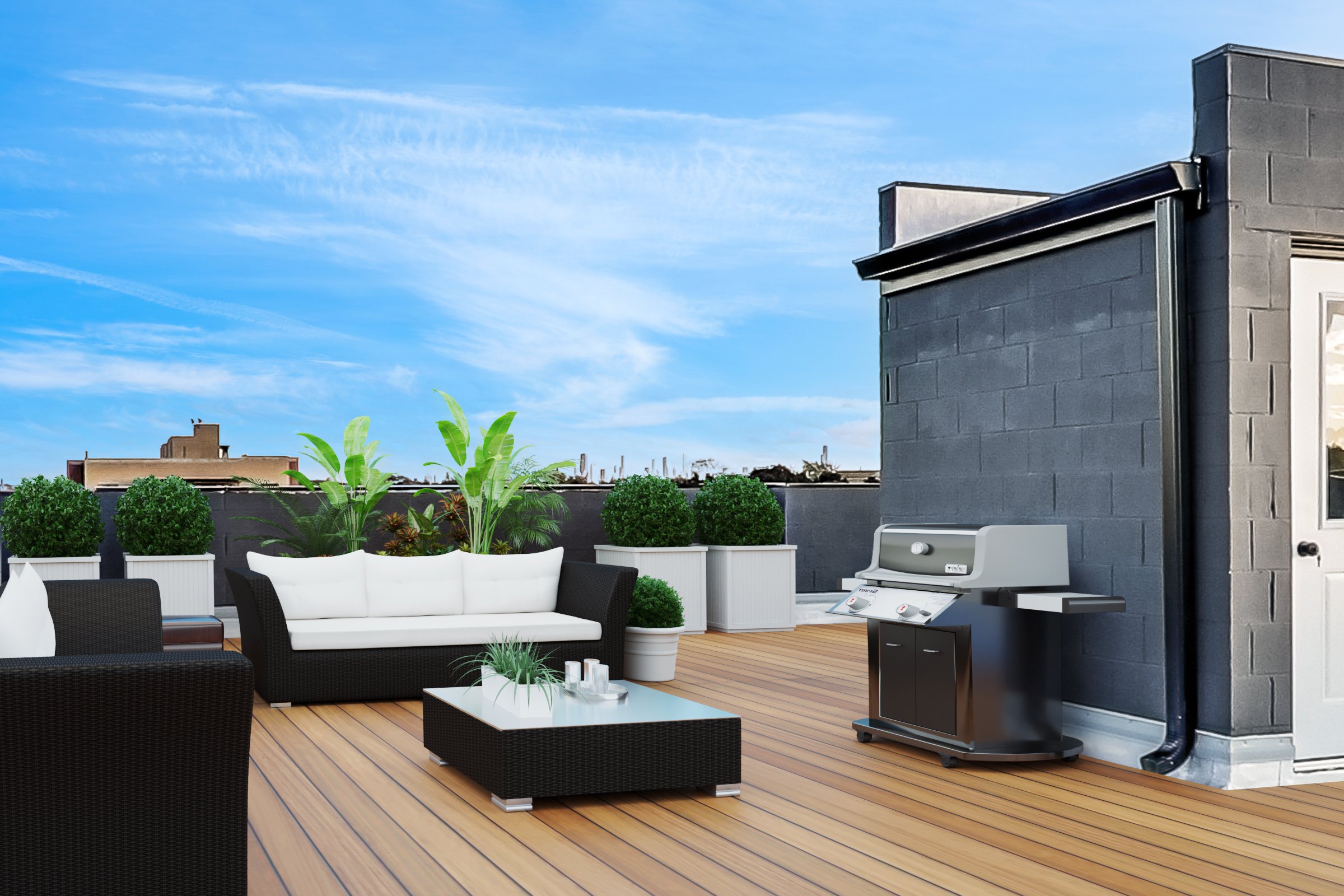 rooftop deck.jpg