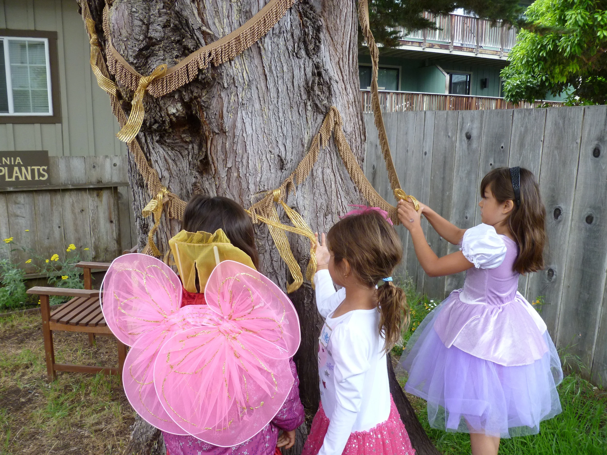 Fairyland at the Lyceum