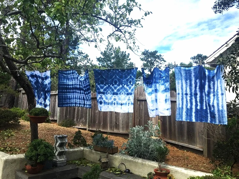 Intro to Indigo Dyeing