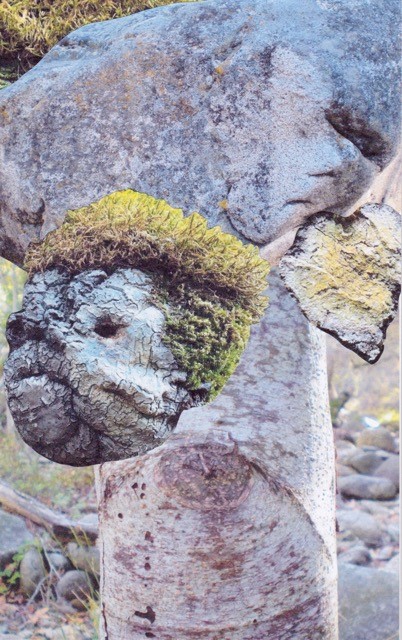 Nature's Inspiration and MeCards