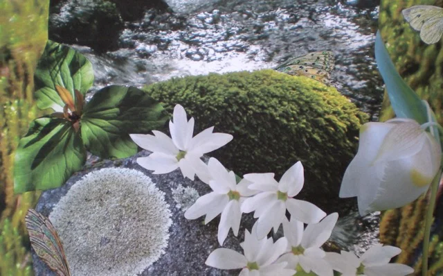 “Images, Intuition, Imagination…SoulCollage®!” Workshop