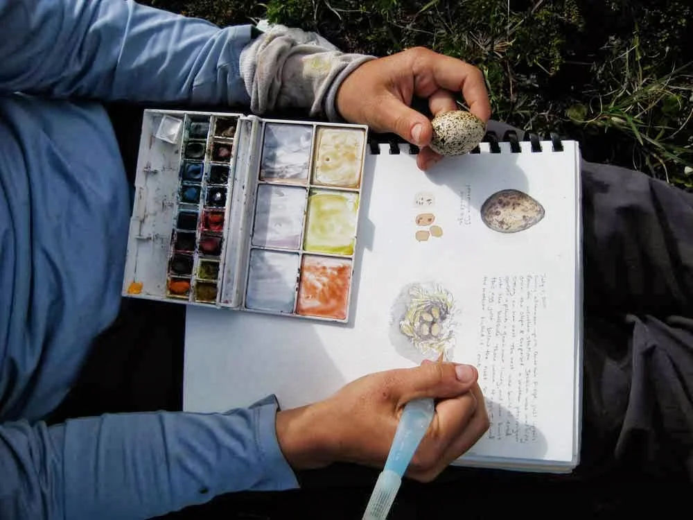 Pocket Sketching &amp; Nature Journaling