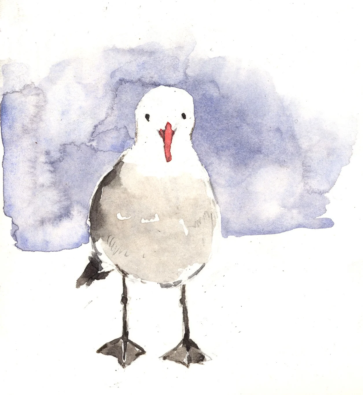 bird sketching 3.jpg
