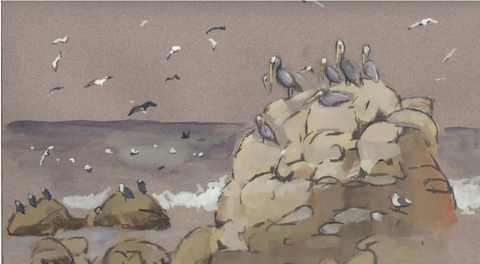 Bird Sketching.jpg