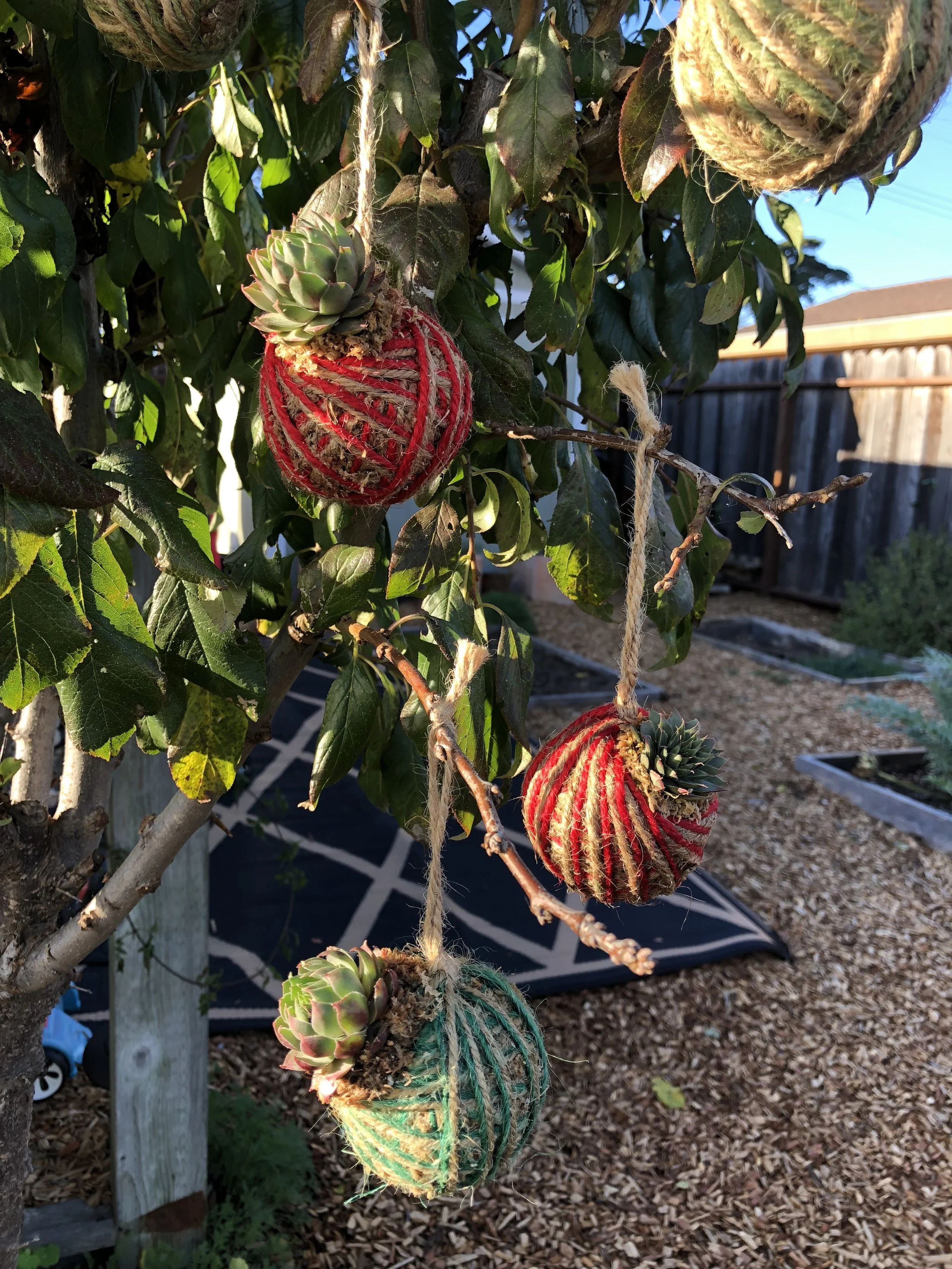 The Art of Japanese Kokedama 