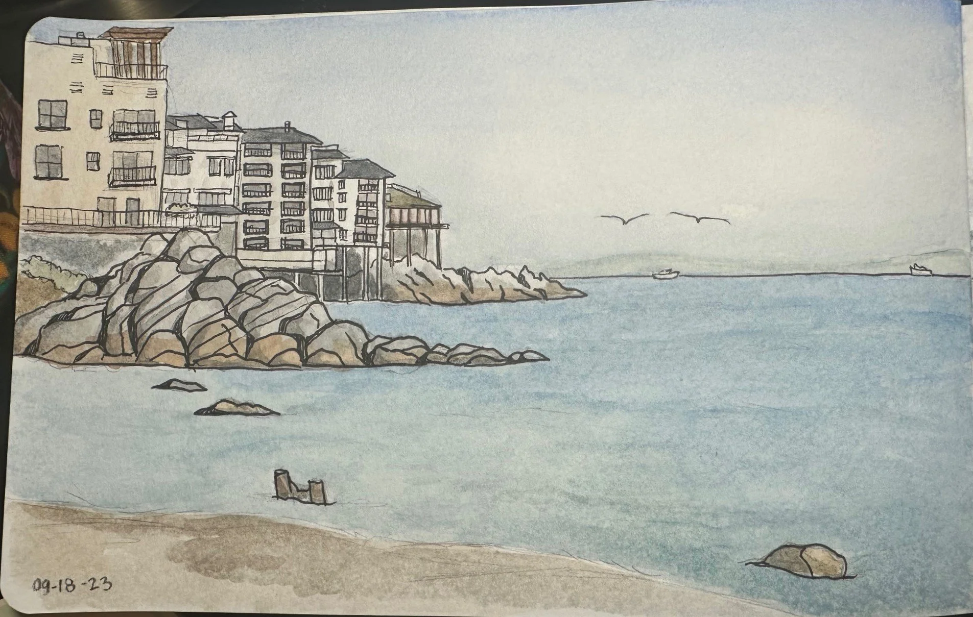 Nature Journaling at the Beach