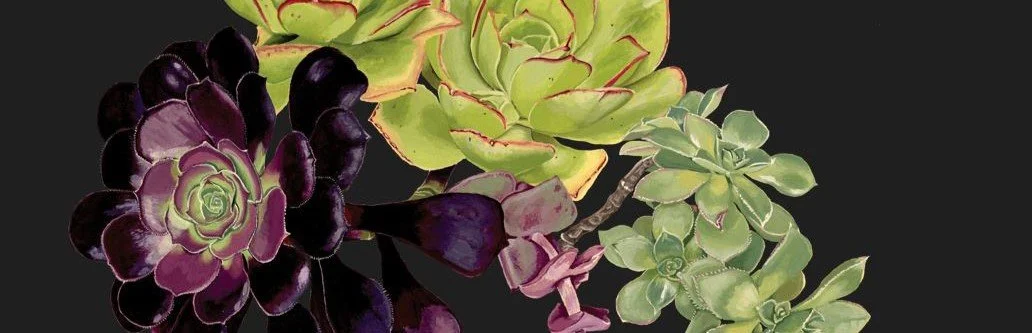 Botanical Illustration