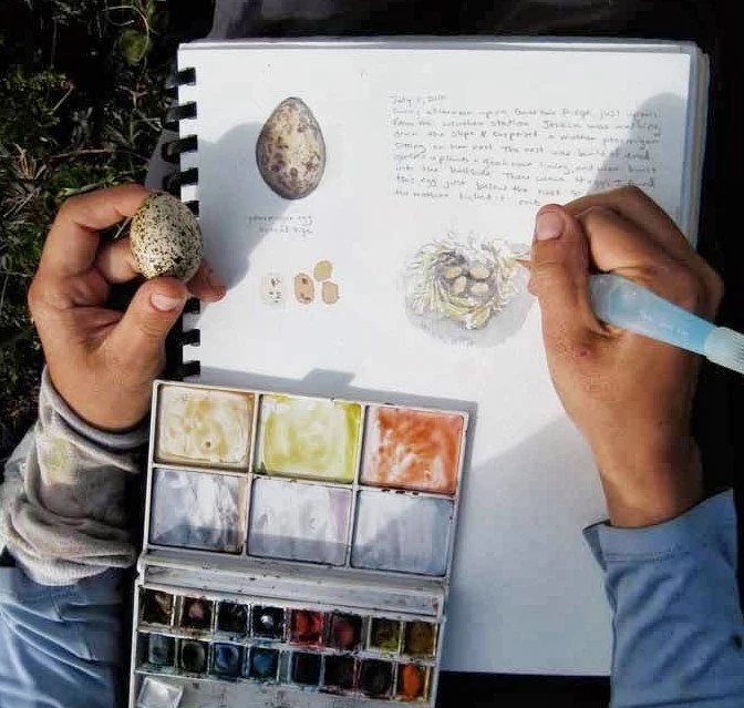 field-sketching.jpg