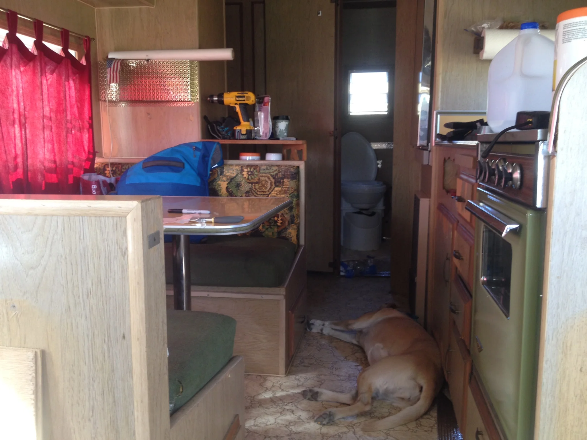 And that's our bathroom there in the back! I bet the two pictures don't look much different, but it's a start! Also, what a lazy dog we have! We swear she did move throughout this process.