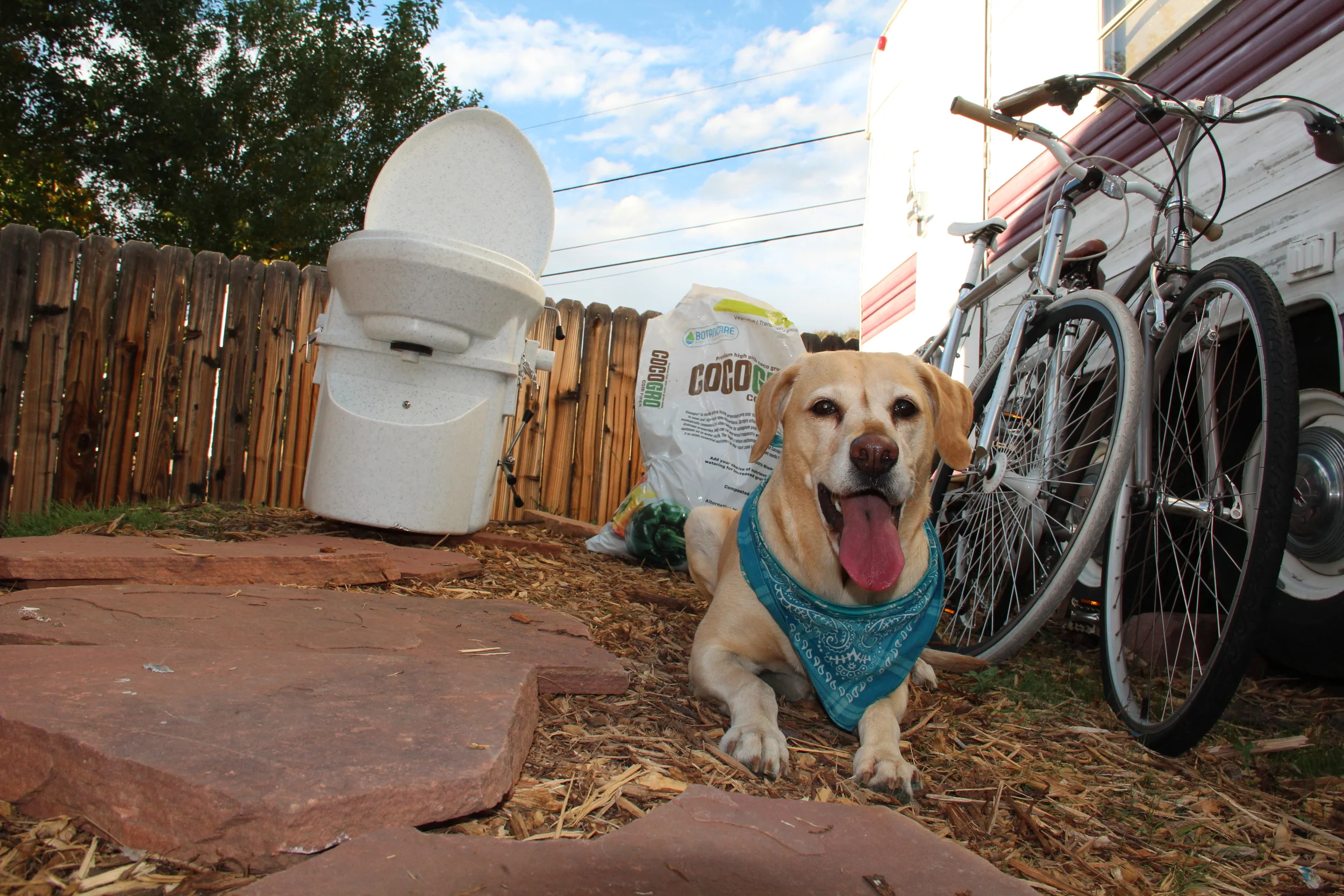 Tiny Living Questions