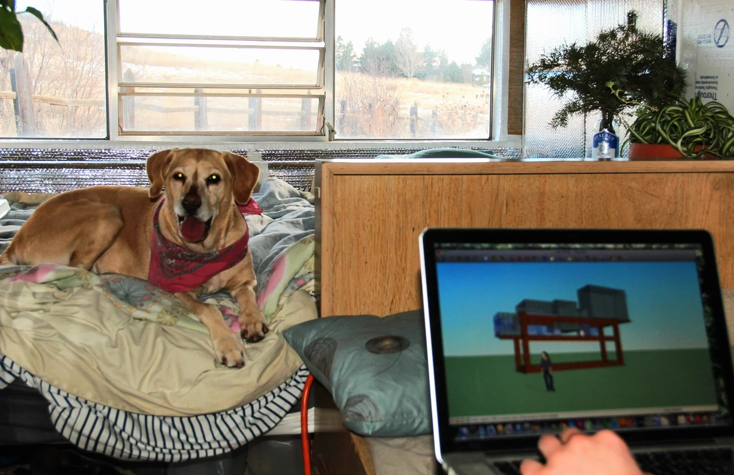 This is where we're at so far! Designing the tiny house in our tiny house! How about 'dem apples?