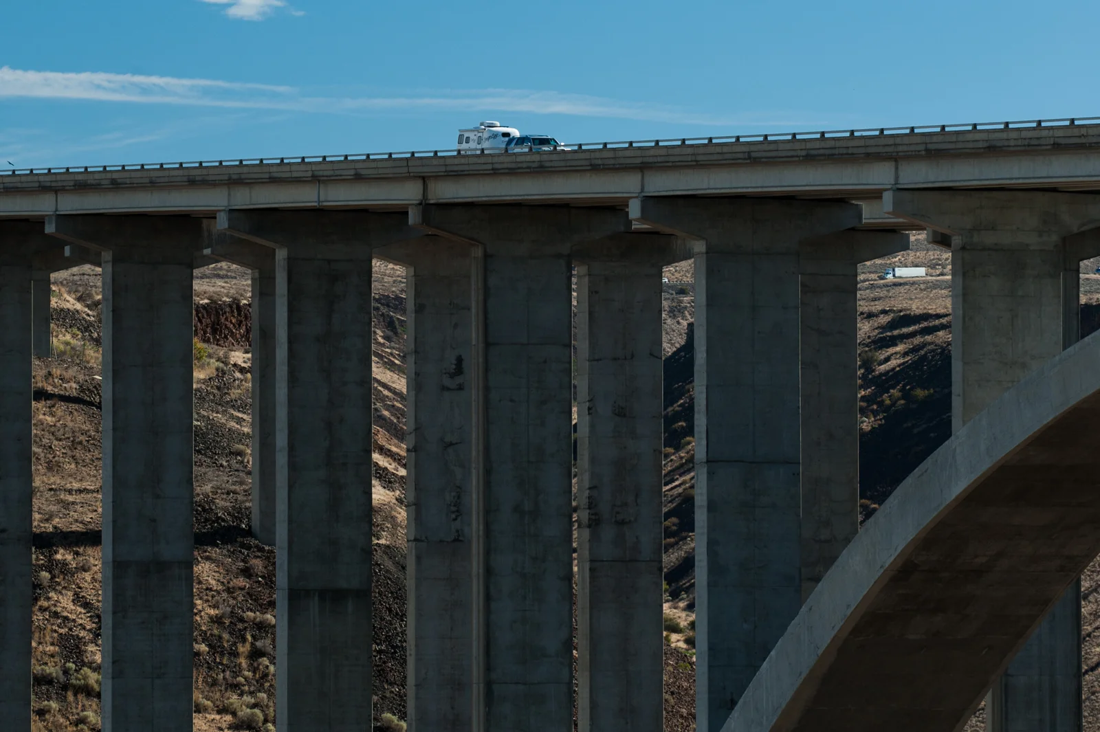 Scamp_Oregon-5490.jpg