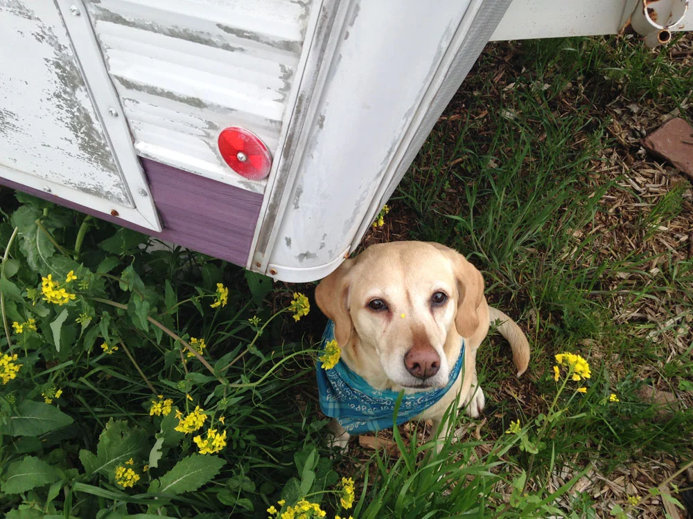 Dirtbag Darling: Tips for Living in a Tiny House (Or Trailer)