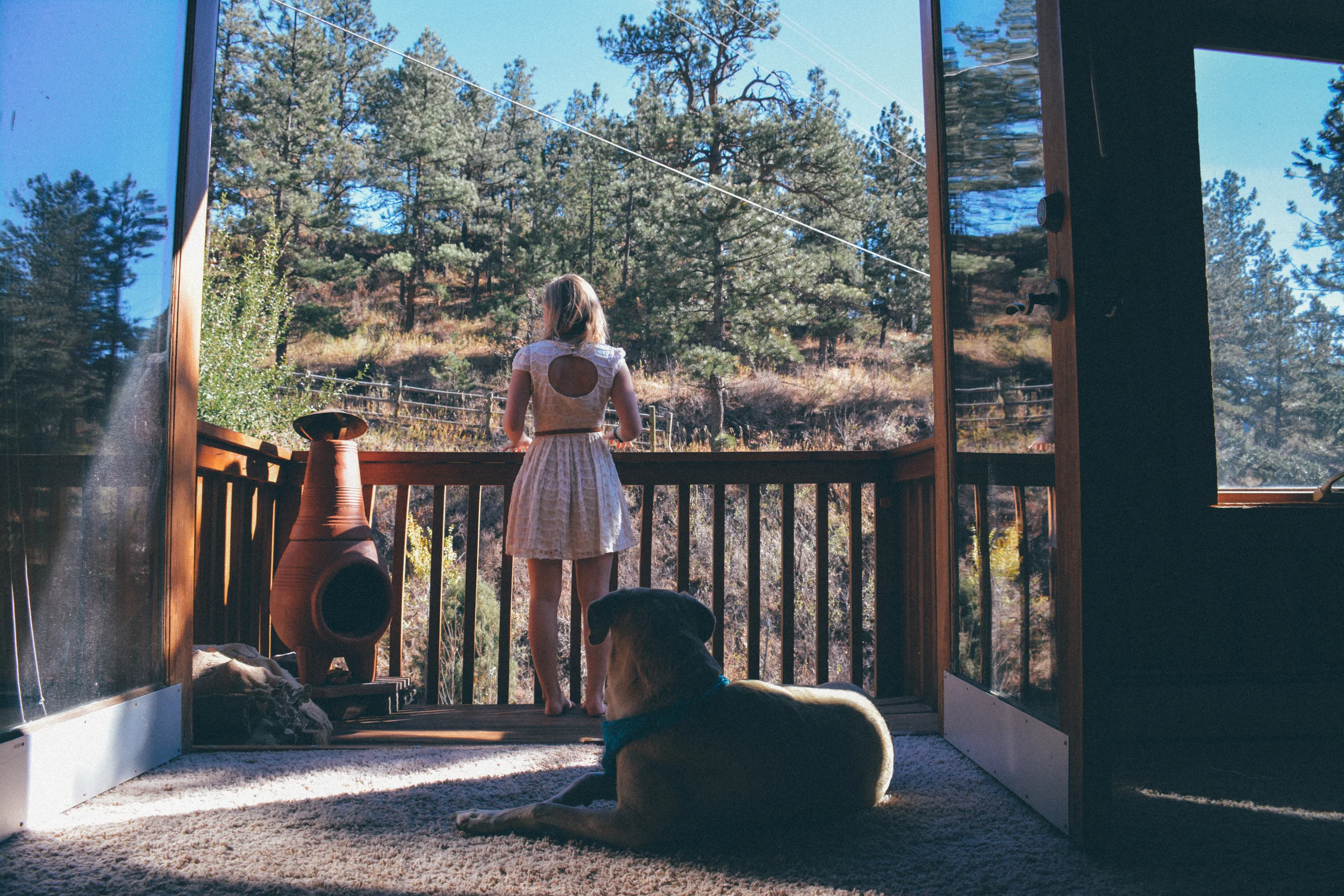Why we bought a house