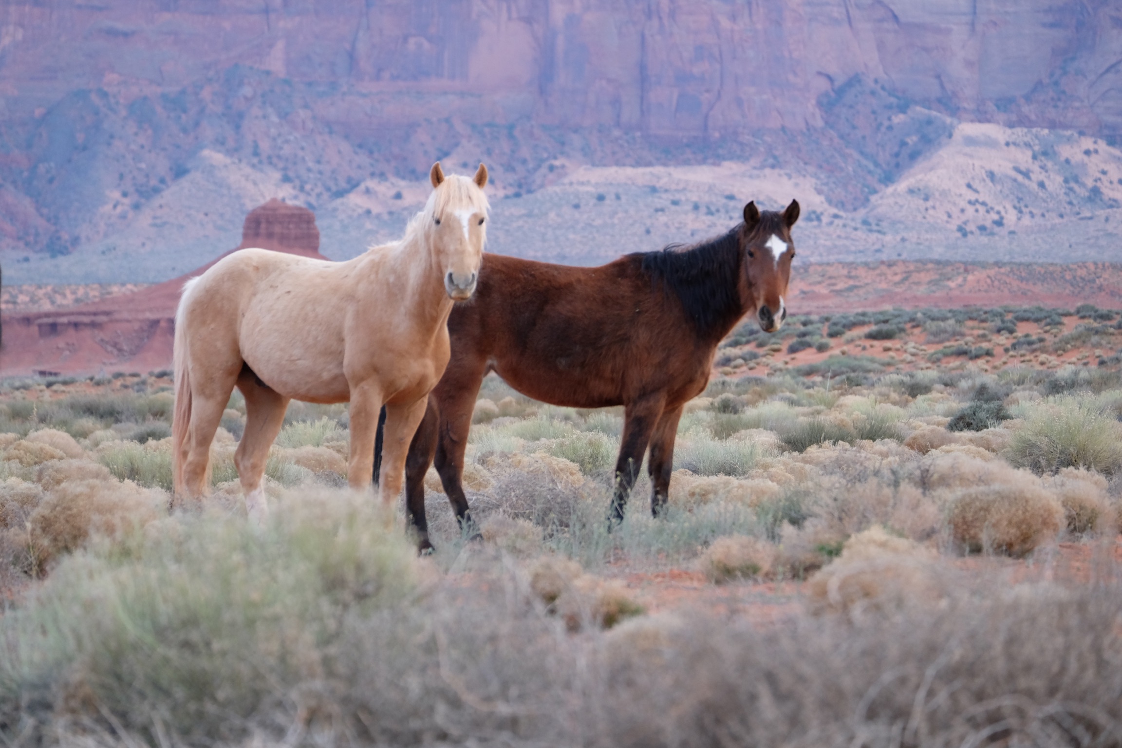 Photos from Monument Valley