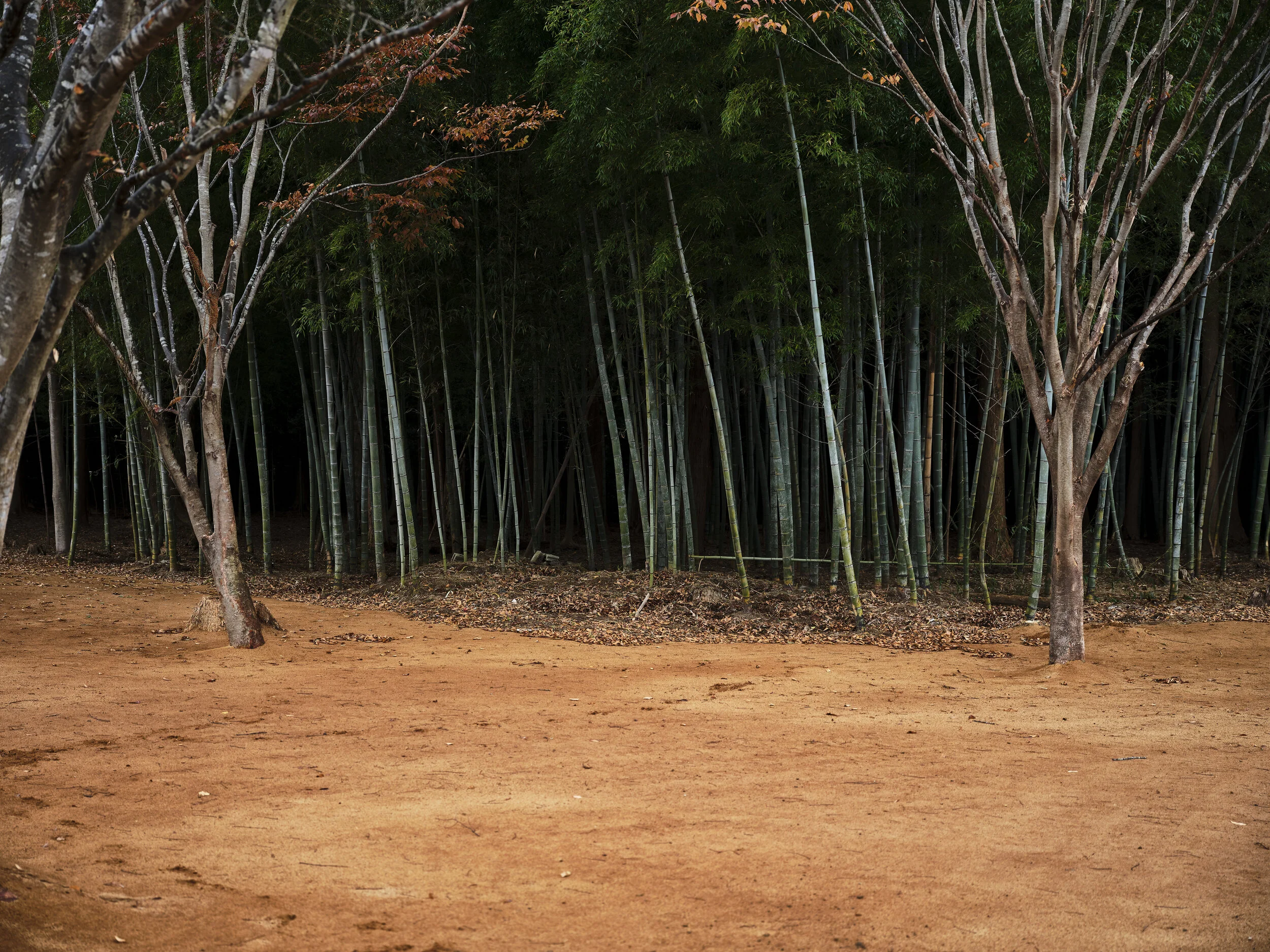 Benjamin_Kis_Fukushima_09.jpg