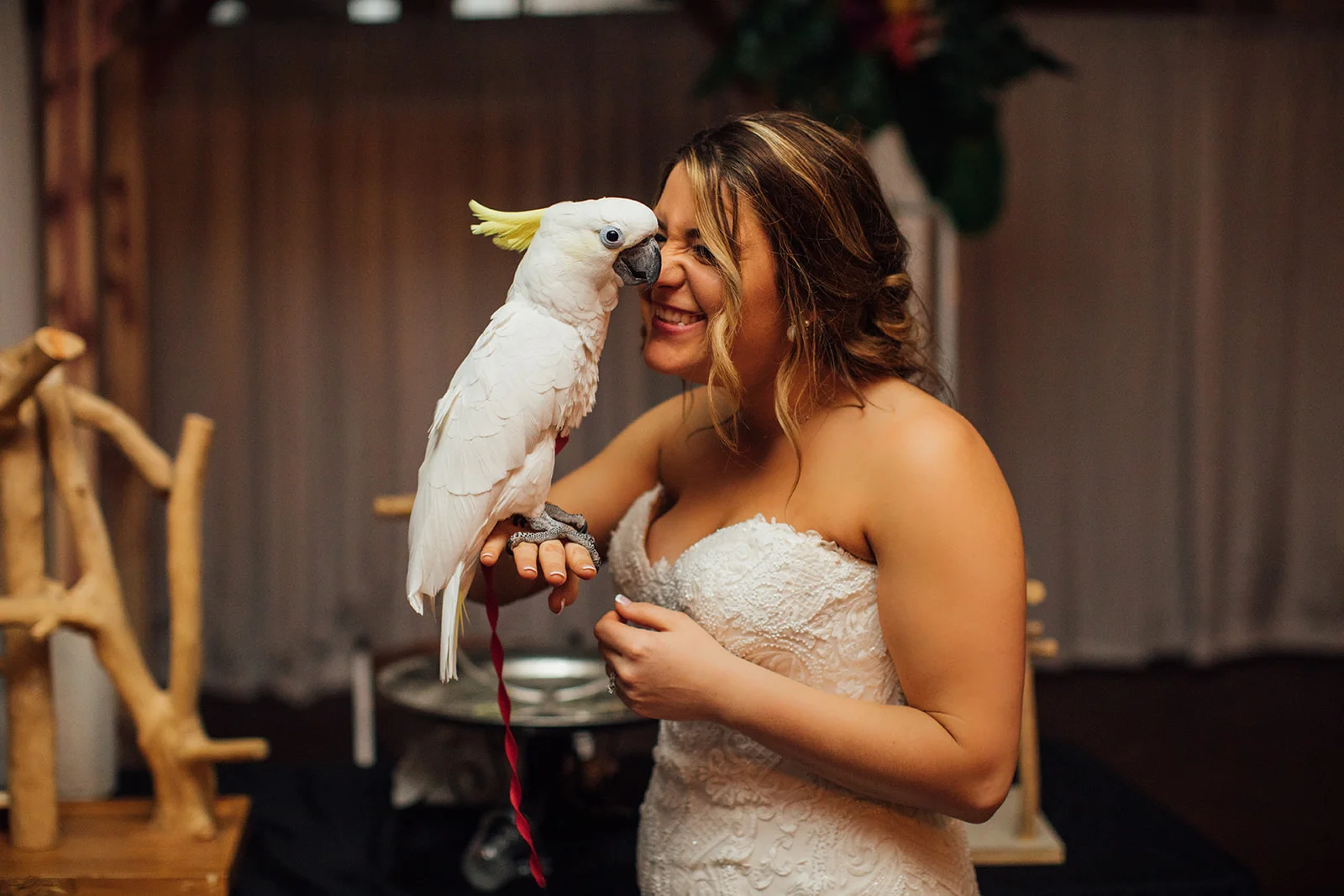 reception0C0A7653.jpg