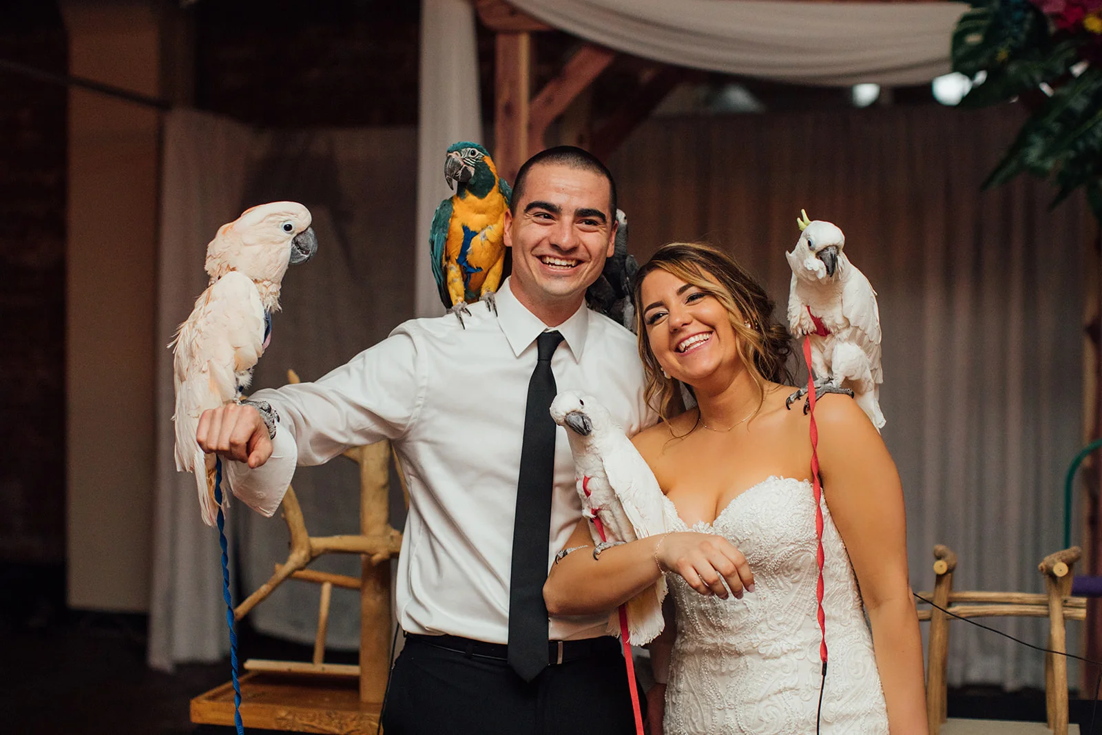 reception0C0A7633.jpg