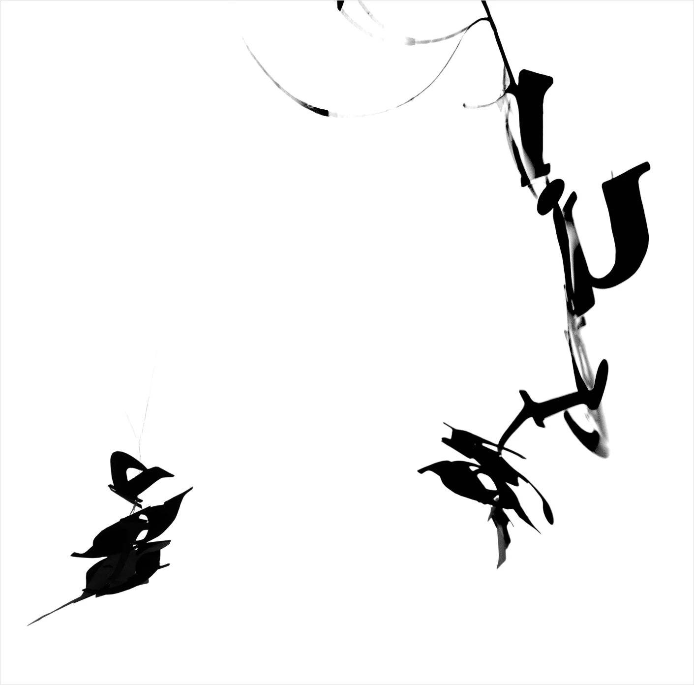 Flying typography study