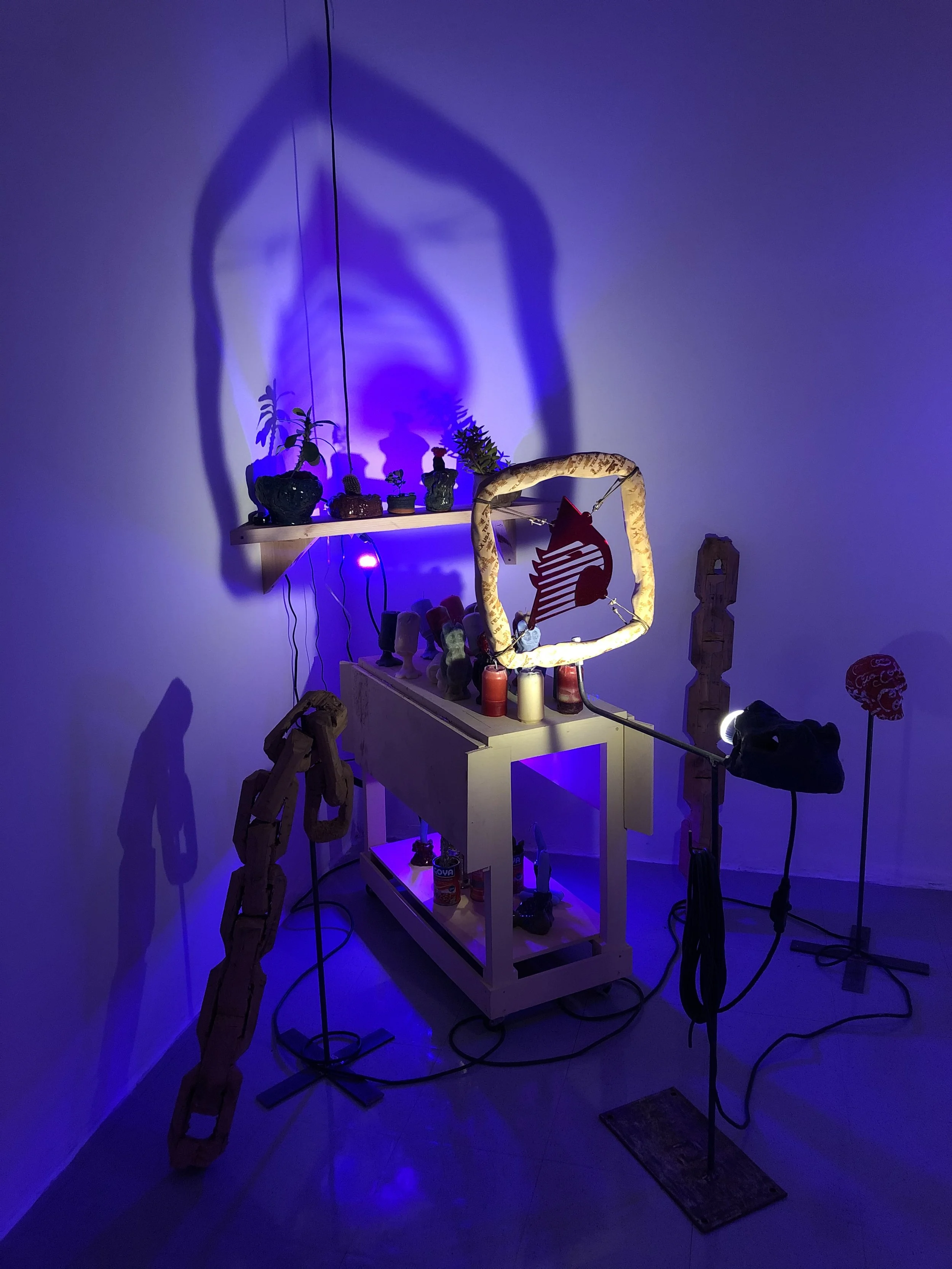 Copy of IMG_6554.jpeg