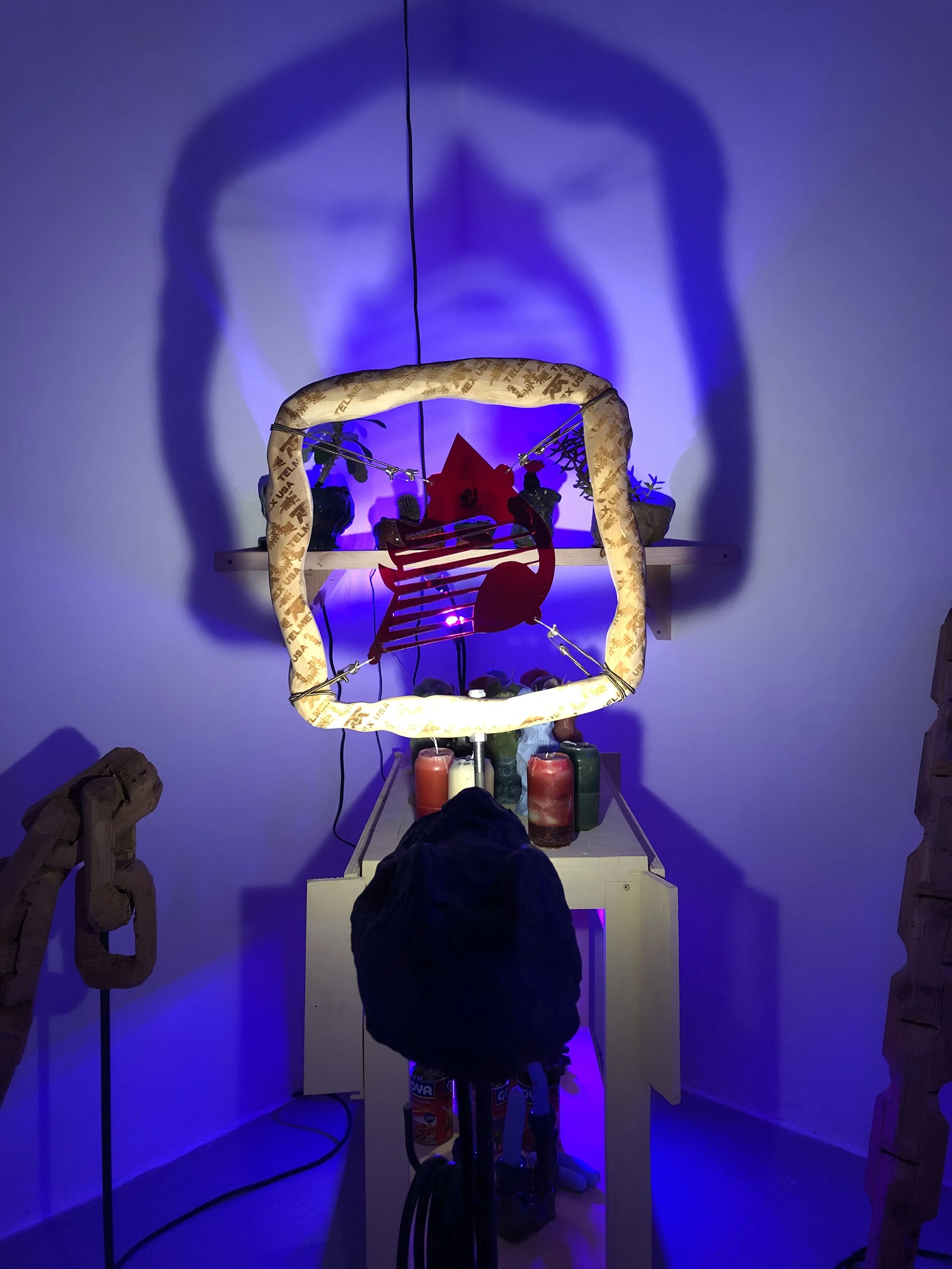 Copy of IMG_6557.jpeg