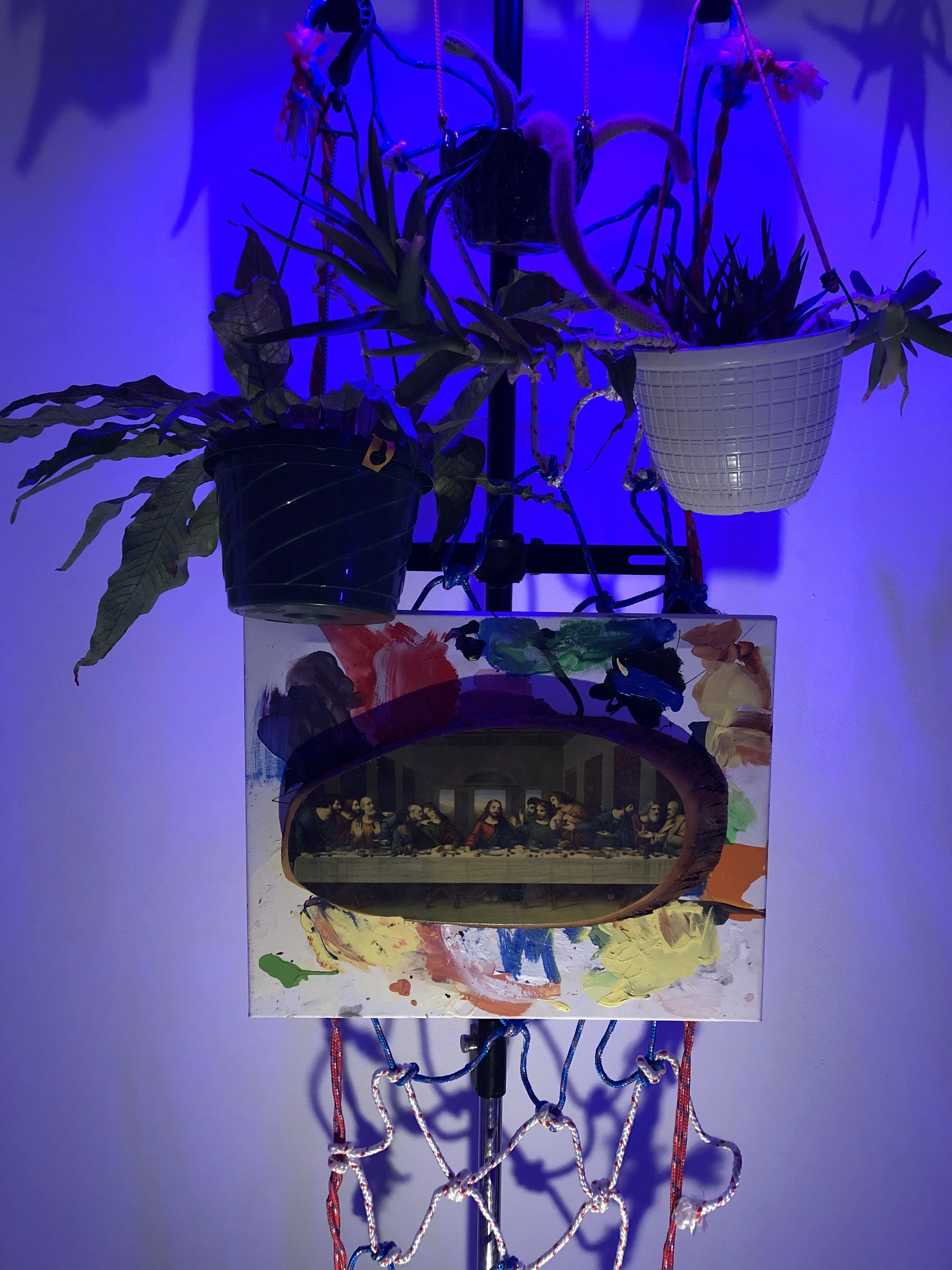 Copy of IMG_6560.jpeg