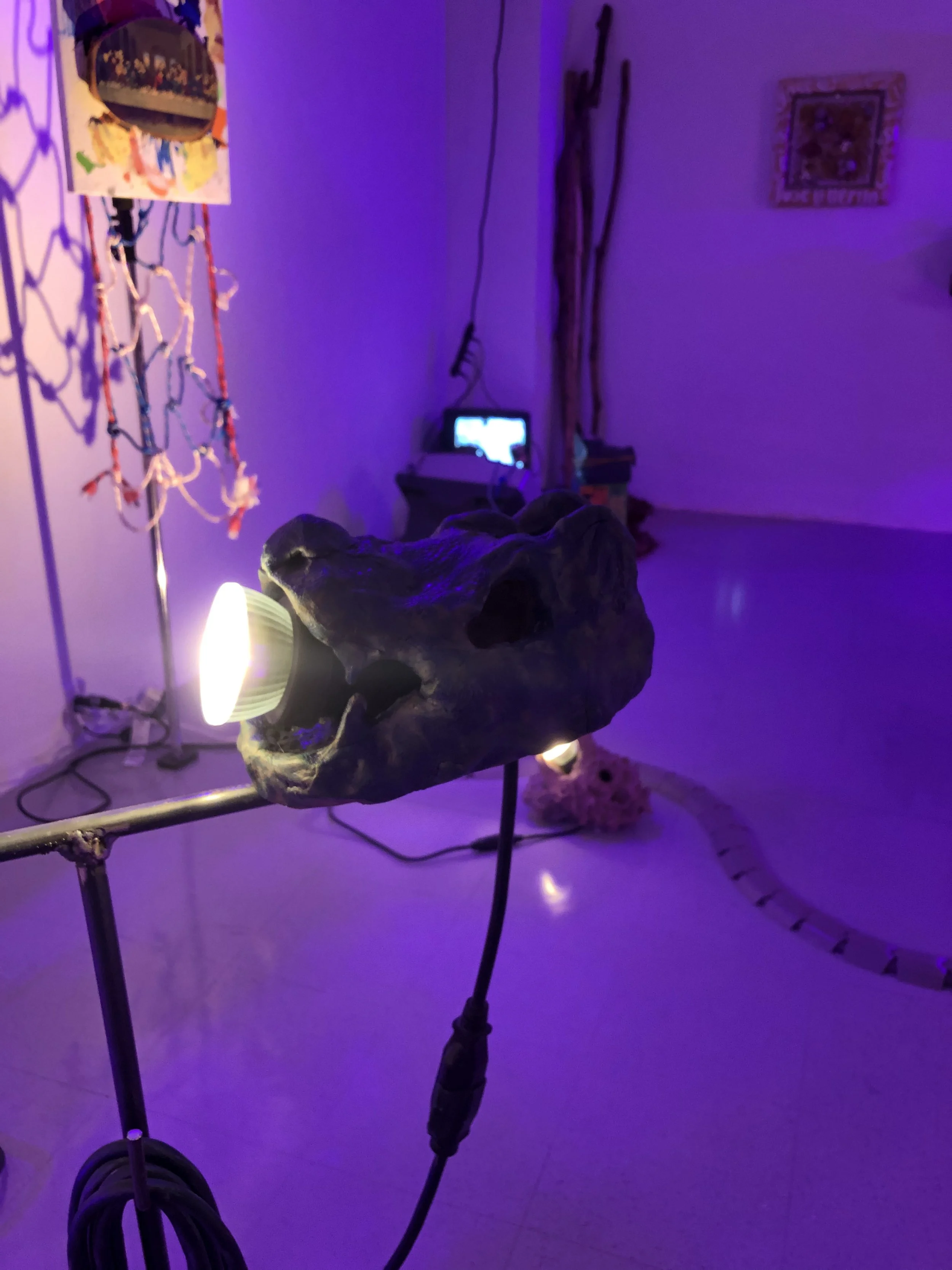 Copy of IMG_6562.jpeg