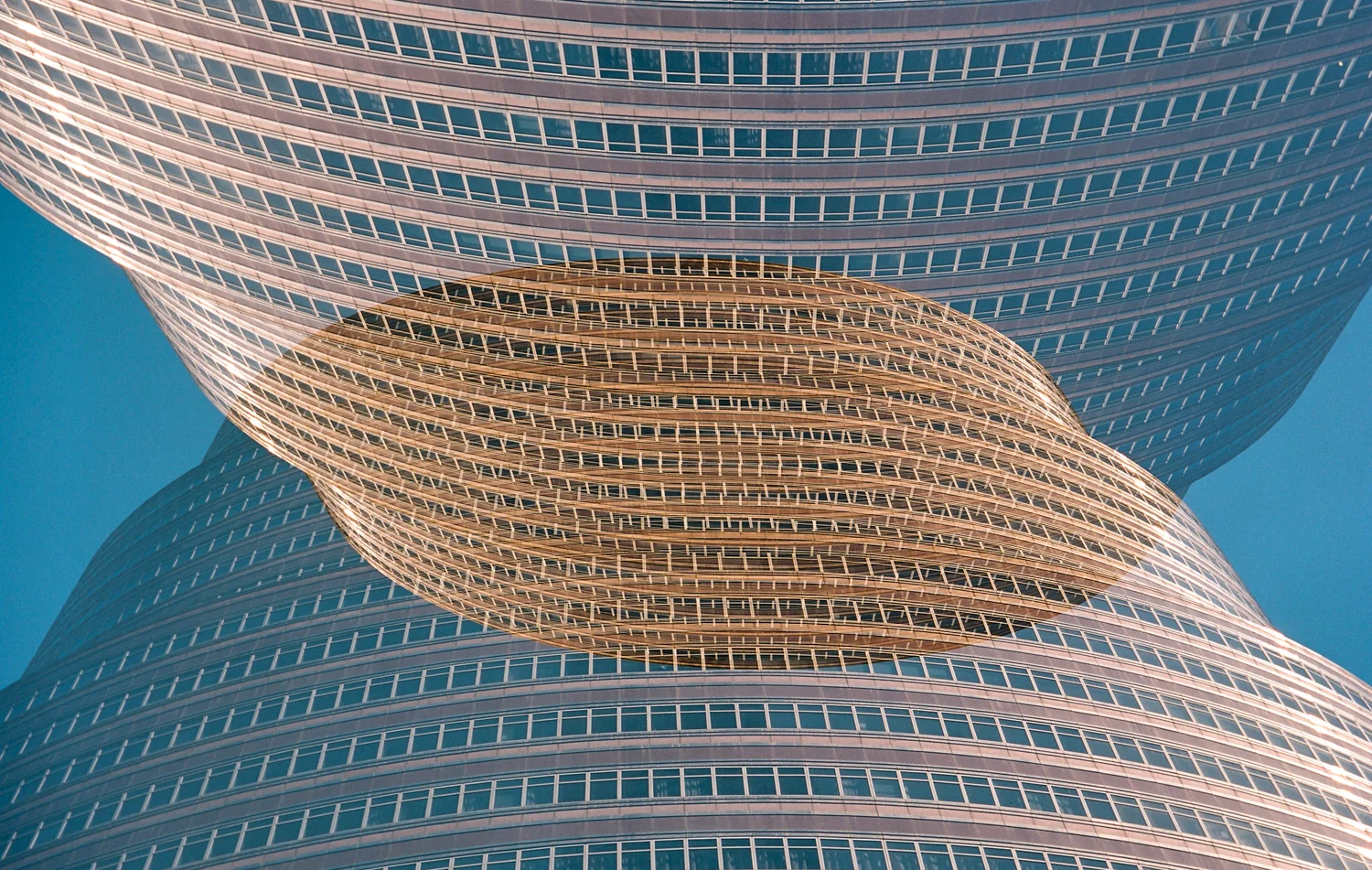 48280015.jpg
