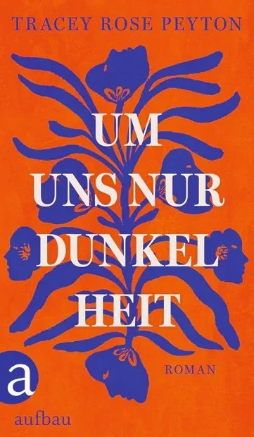 9783351041953__cover_2d Kopie.jpg