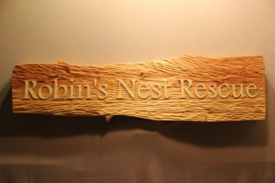 Hand Carved Wood Signs by Lazy River Studio