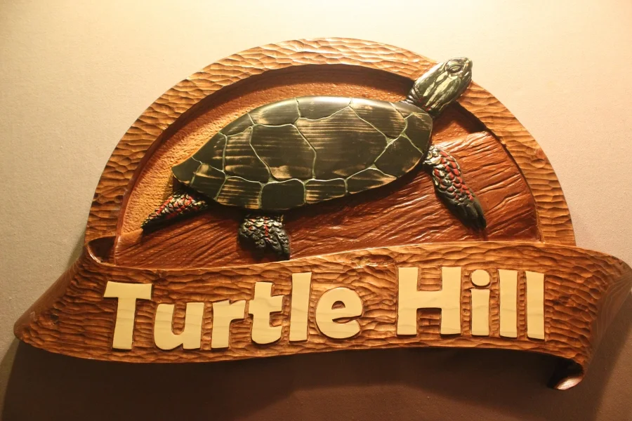 Turtle signs, animal signs wildlife signs by Lazy River Studio