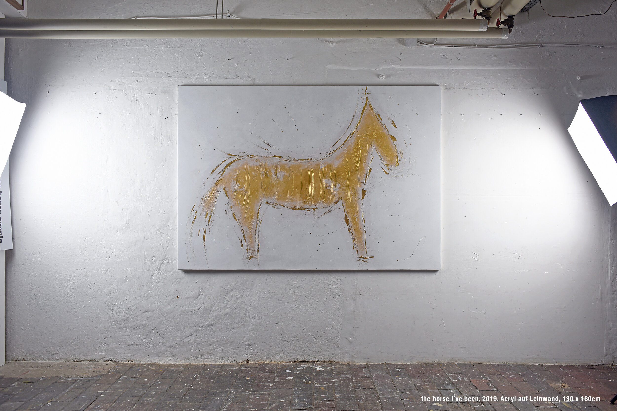 THE HORSE I HAVE BEEN