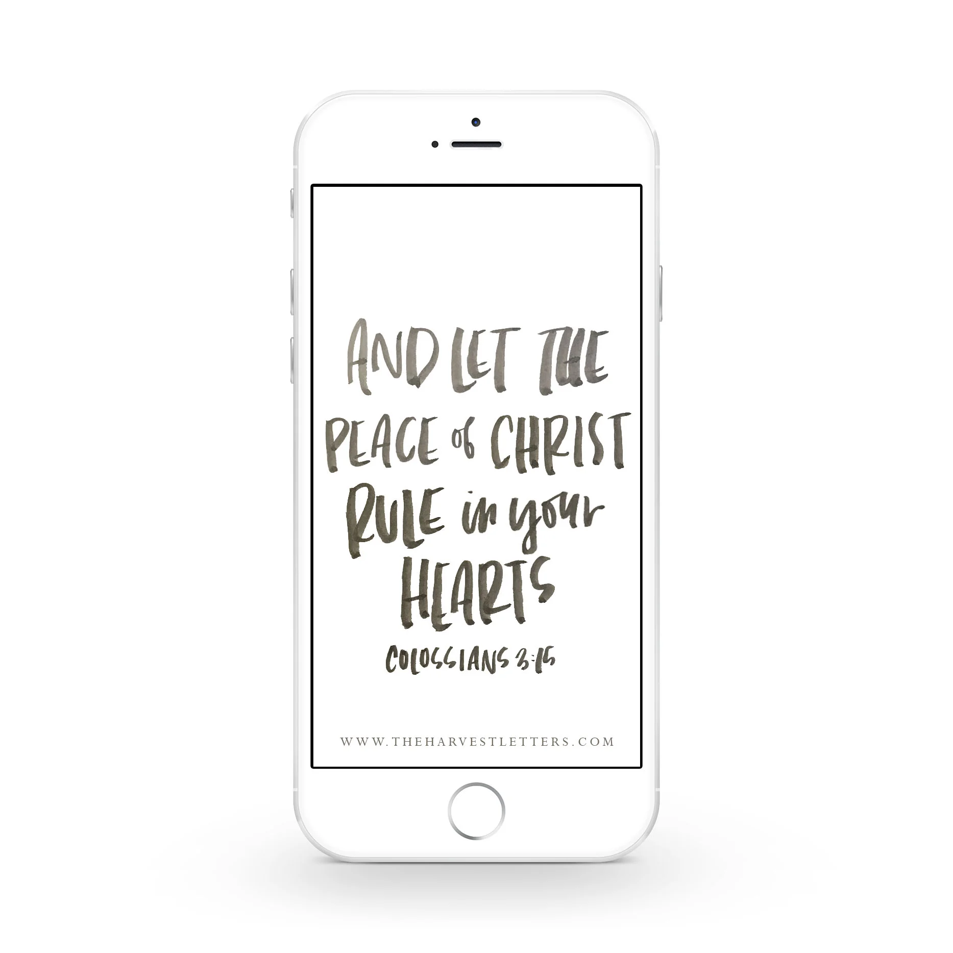Let the Peace of Christ Rule