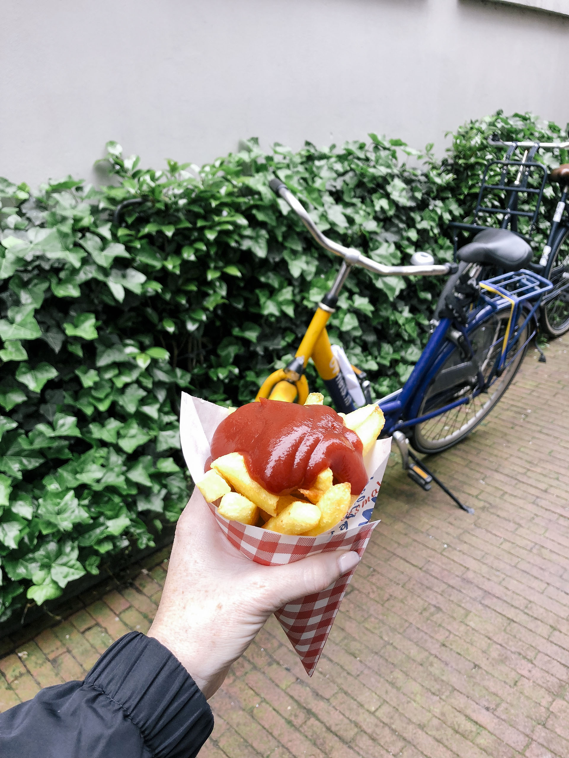 Fries from Vlaams Friteshuis Vleminckx