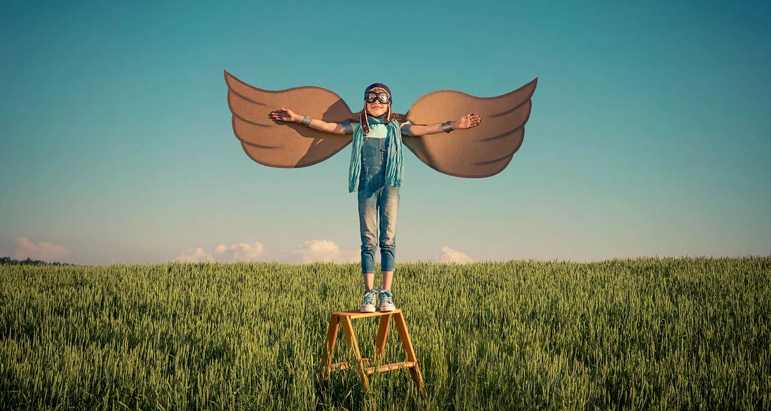 gm-fly-banner.jpg