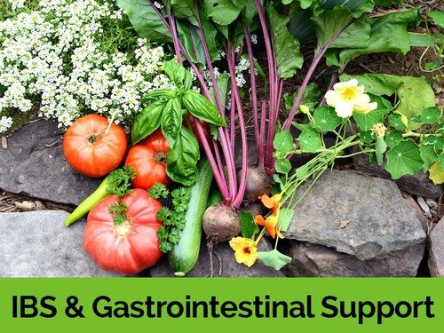 IBS+&+Gastrointestinal+Support.jpg